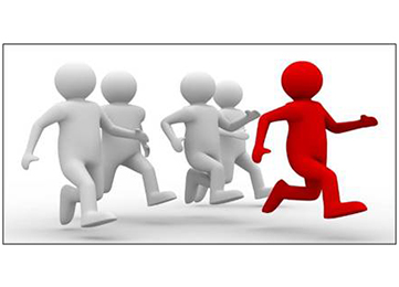 Our Services