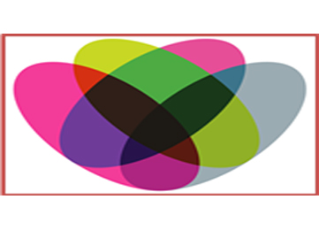 Our Services
